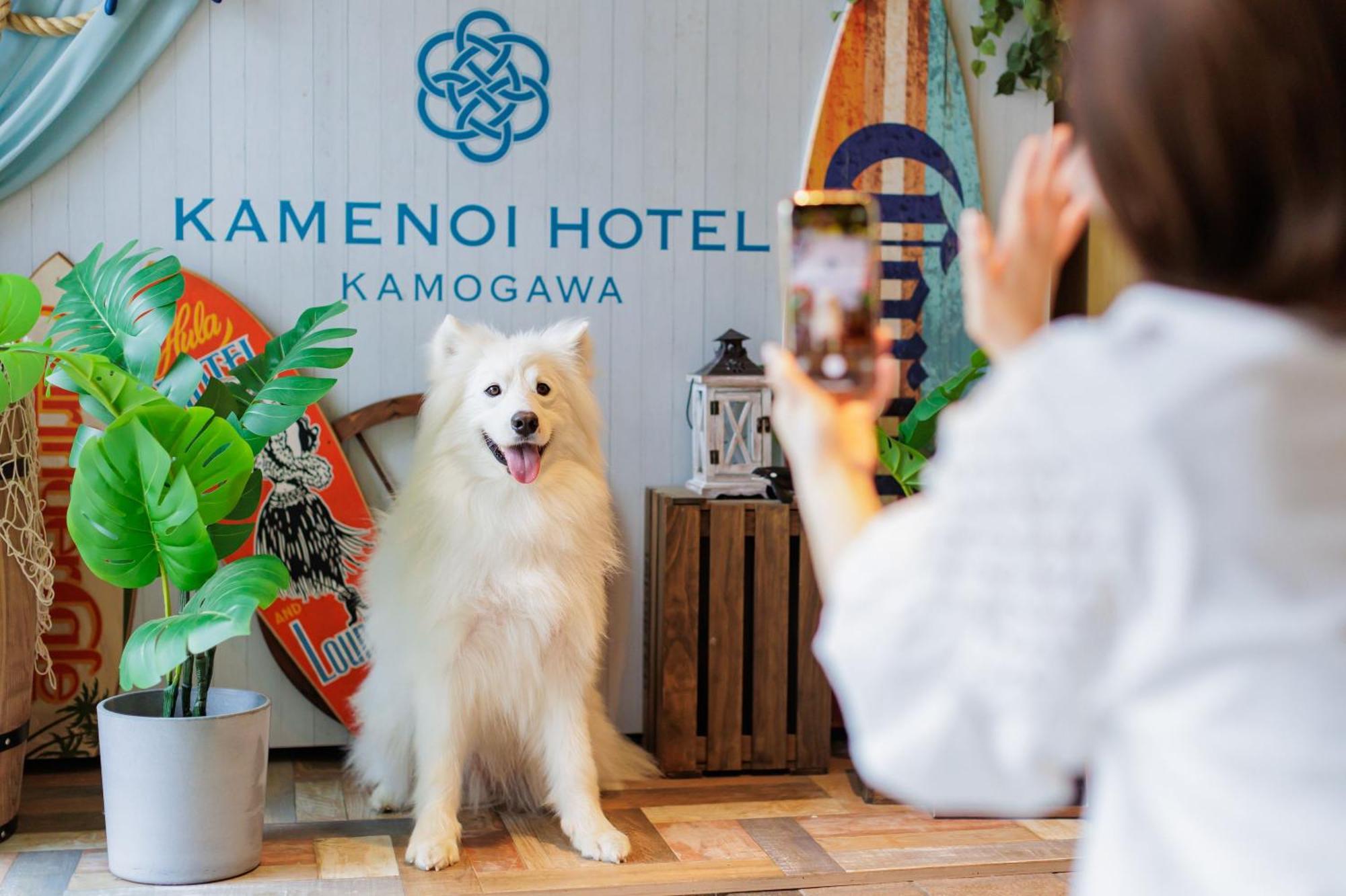 Kamenoi Hotel Kamogawa Exteriör bild